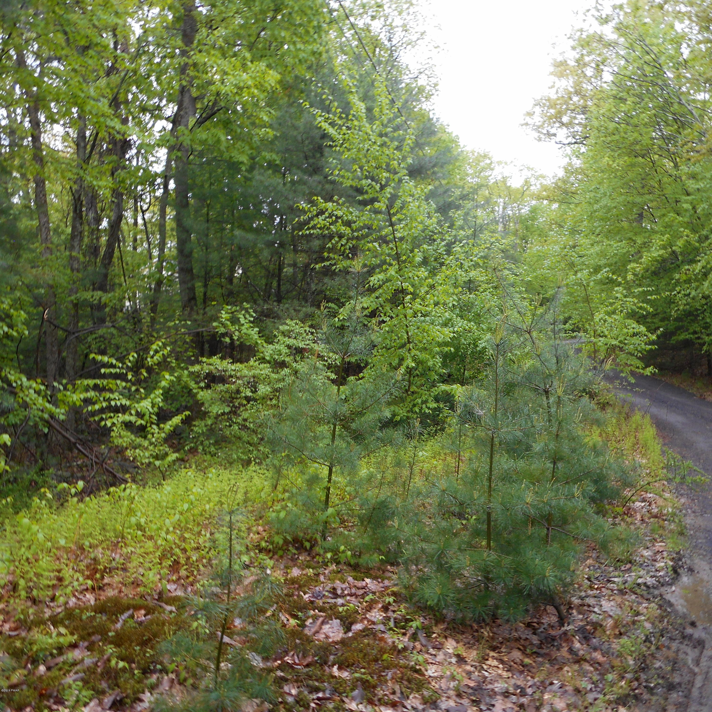 Hunters Lane Dingmans Ferry, PA 18328 - Photo 3 of 4