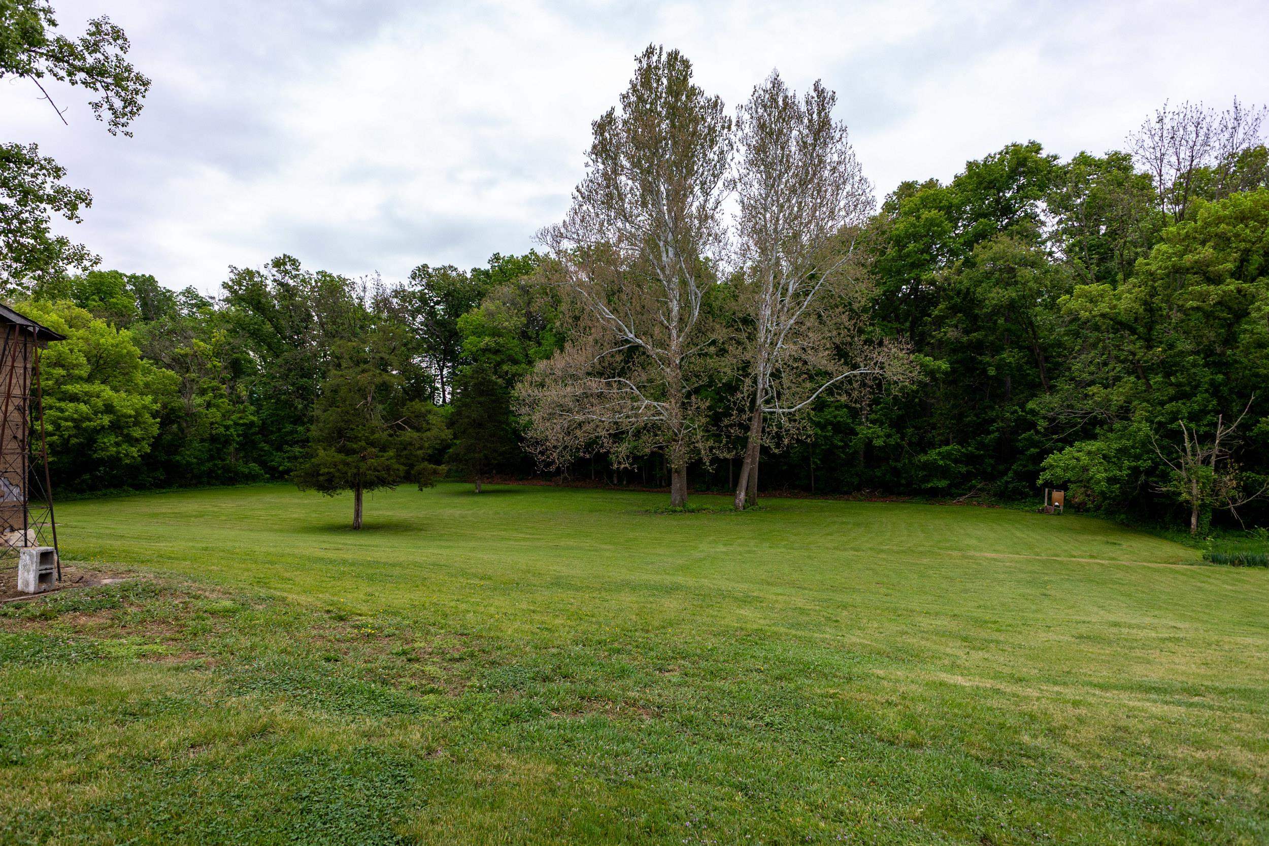 13896 Rockingham Pike Elkton, VA 22827 - Photo 7 of 60 a view of field with tall trees