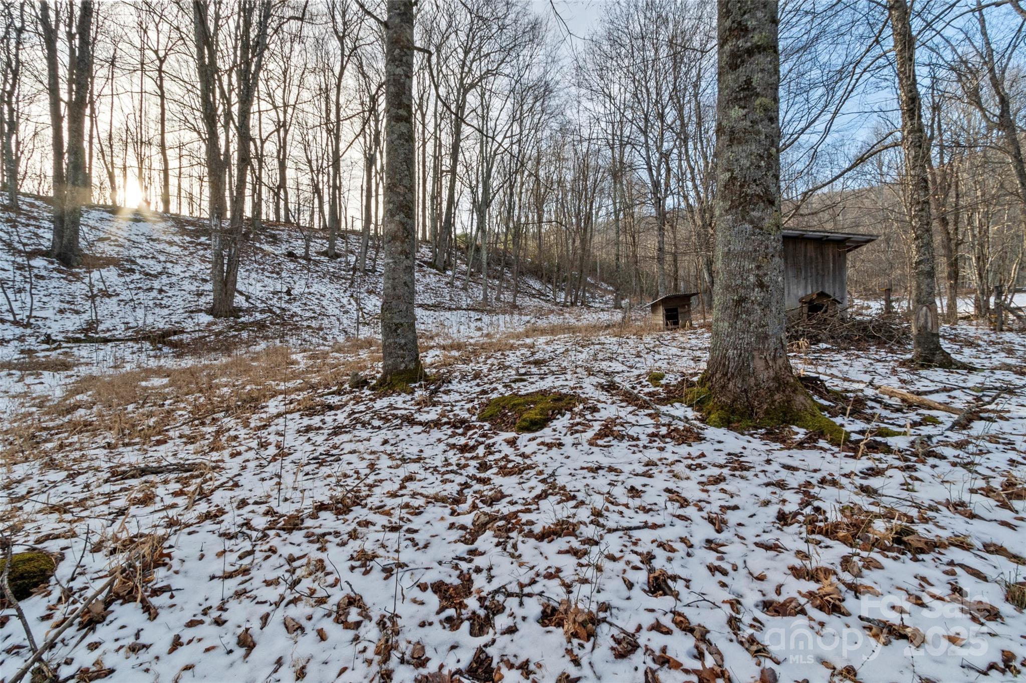 1571 Roaring Fork Road Burnsville, NC 28714 - Photo 12 of 37 a backyard of a house with lots of green space