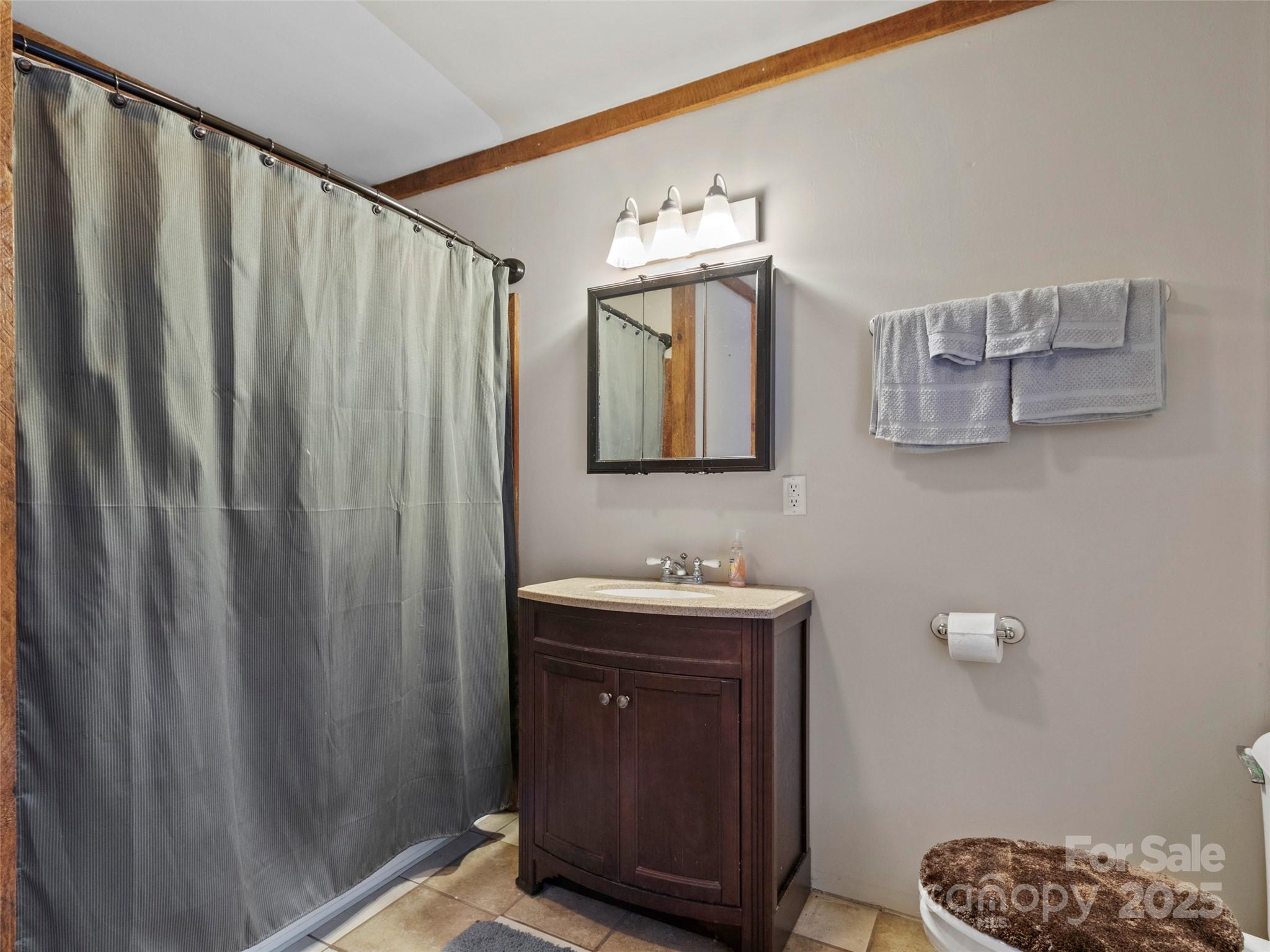 1571 Roaring Fork Road Burnsville, NC 28714 - Photo 26 of 37 a bathroom with a sink a mirror and a toilet
