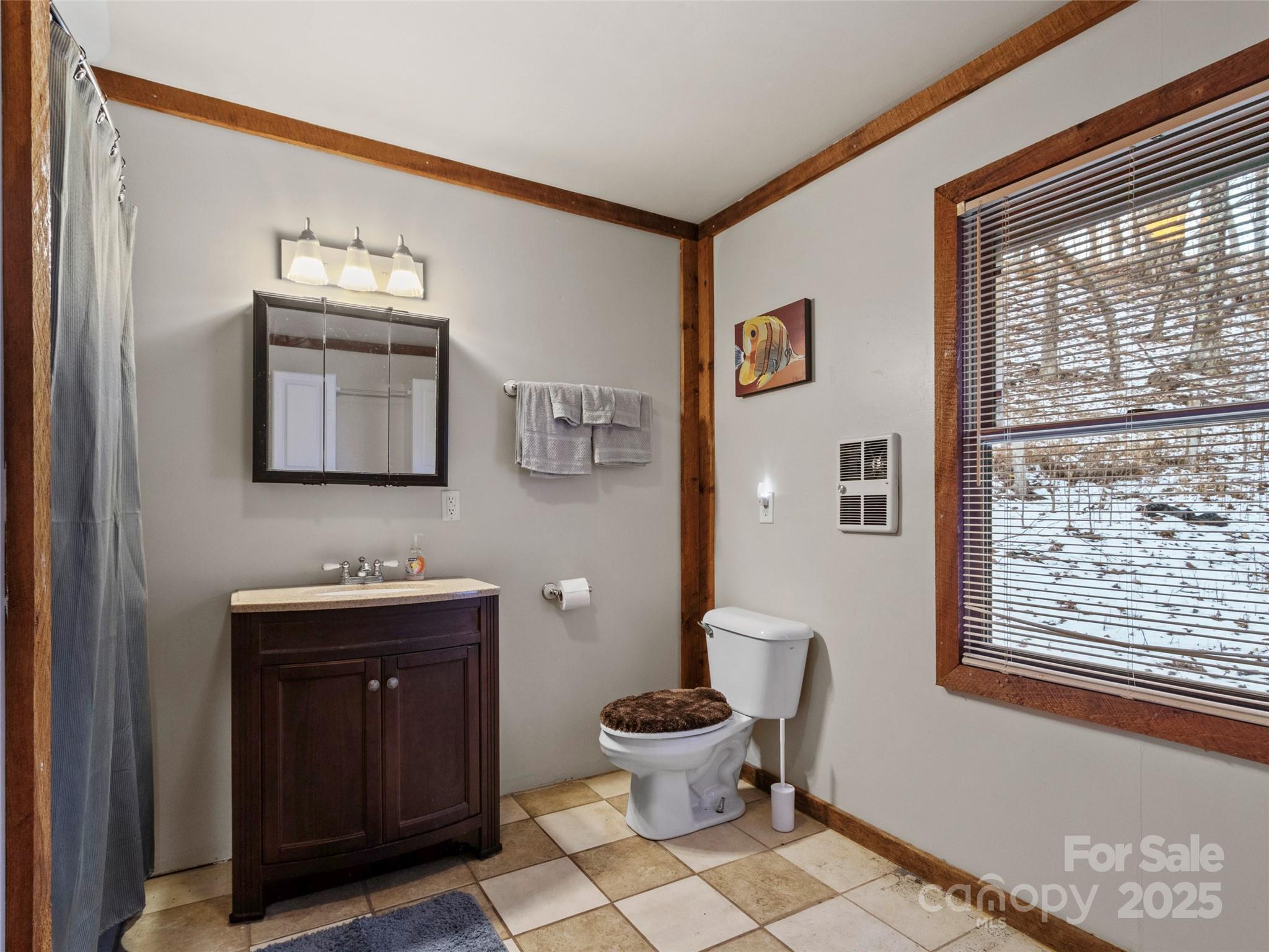1571 Roaring Fork Road Burnsville, NC 28714 - Photo 27 of 37 a bathroom with a toilet a sink and mirror