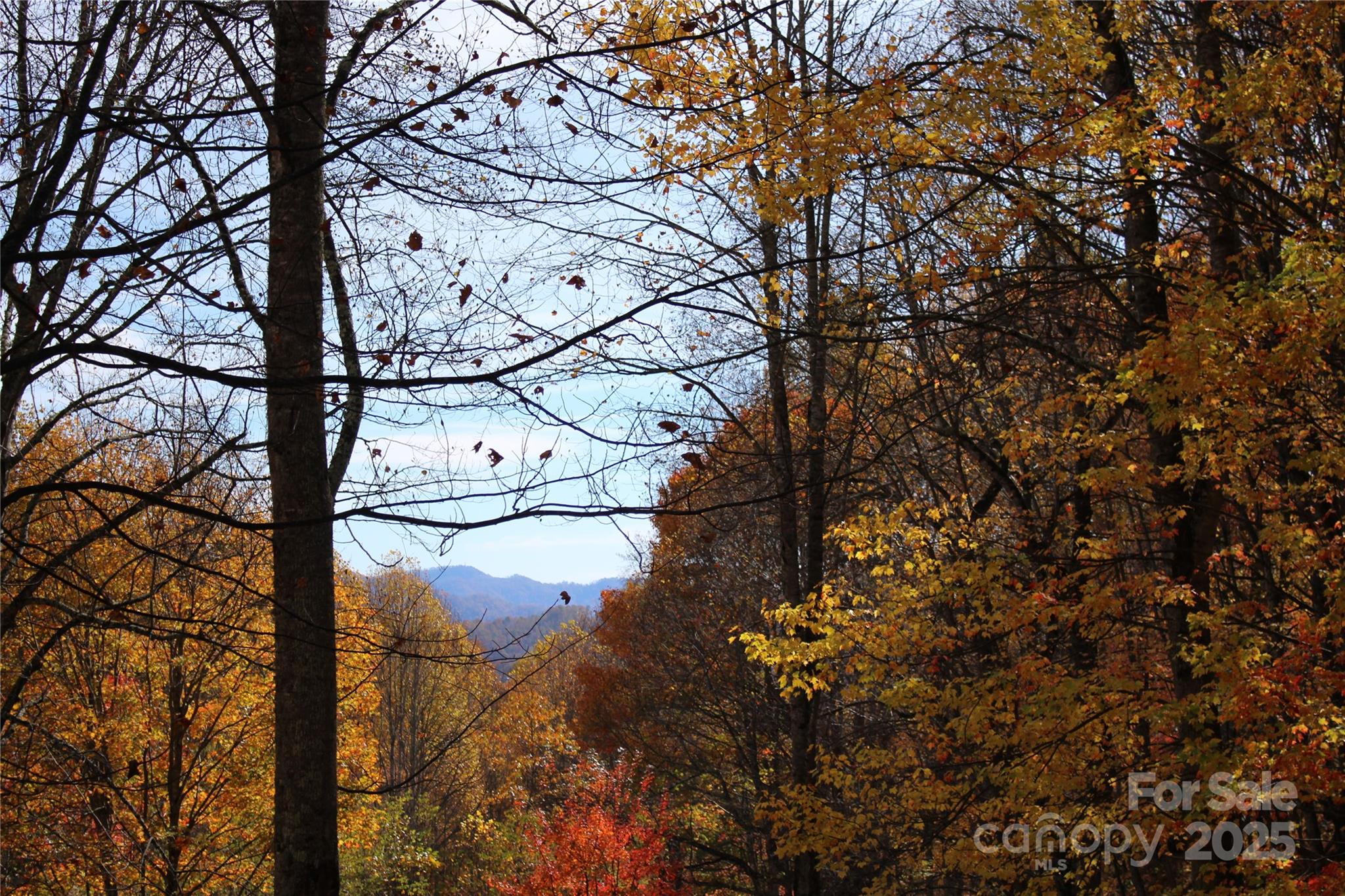 1571 Roaring Fork Road Burnsville, NC 28714 - Photo 4 of 37 a view of yard with mountain view