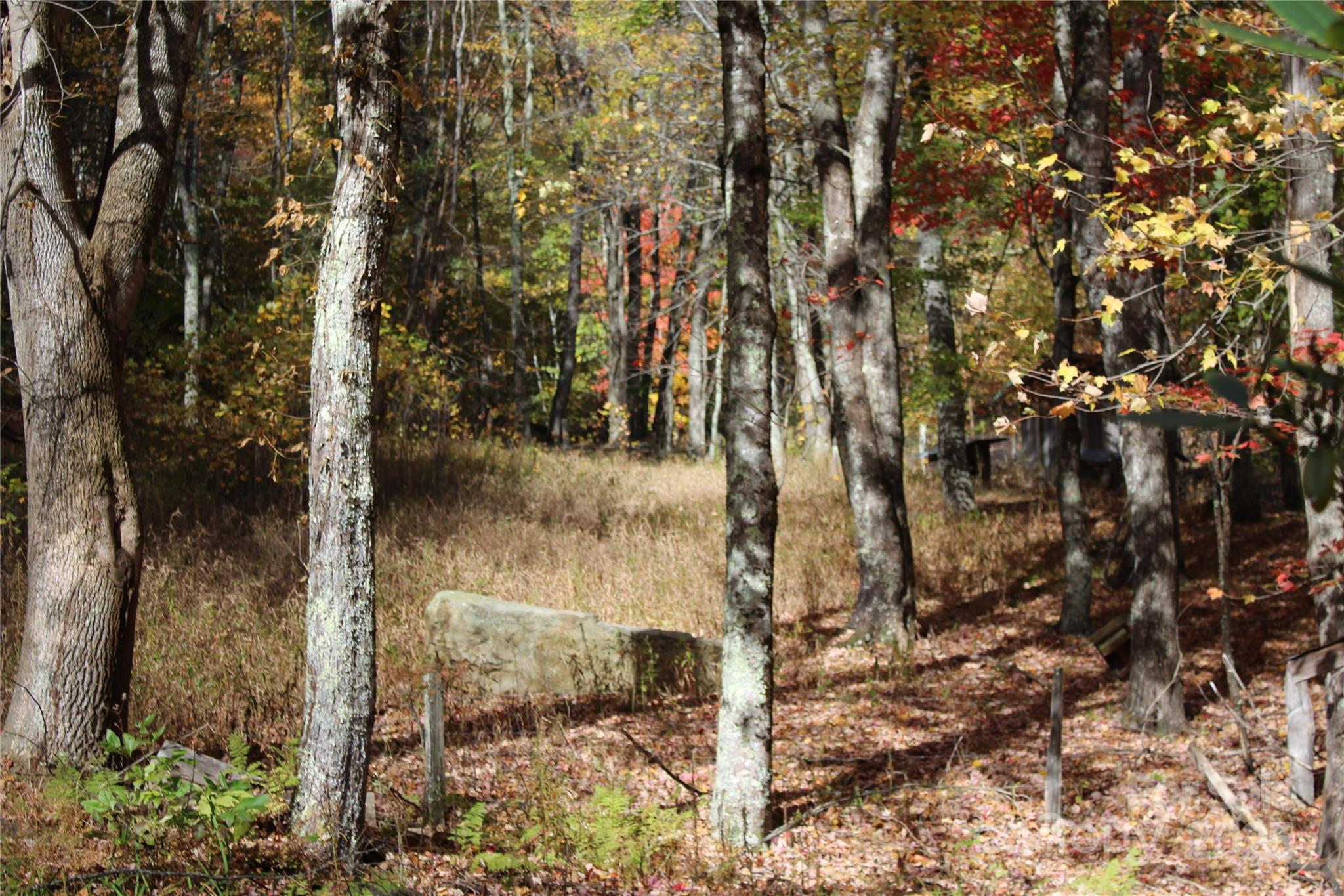 1571 Roaring Fork Road Burnsville, NC 28714 - Photo 5 of 37 a view of a yard with trees