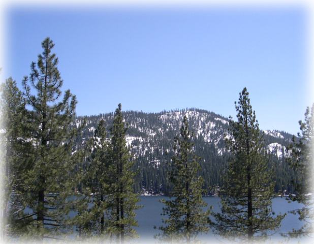 15394 Donner Pass Road Truckee, CA 96161 - Photo 3 of 7 Gallery Image 3