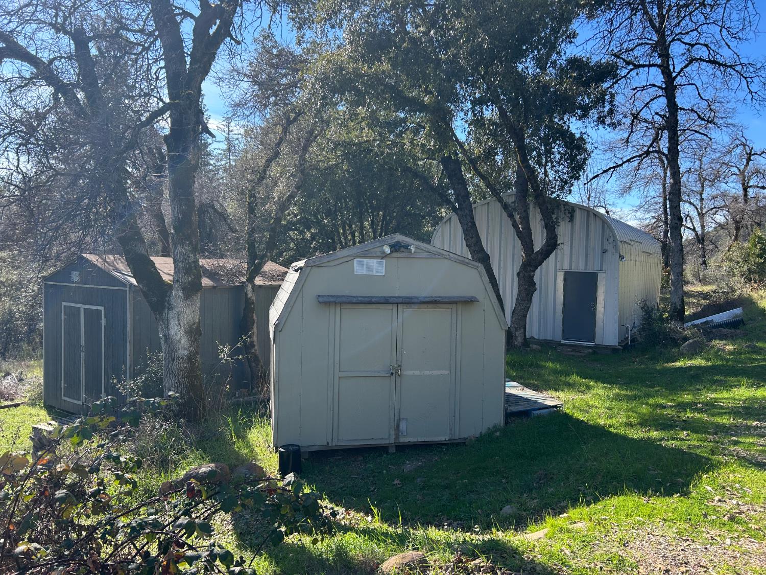 10121 Sun Ridge Court Nevada City, CA 95959 - Photo 11 of 14 a view of a house with a yard and large tree