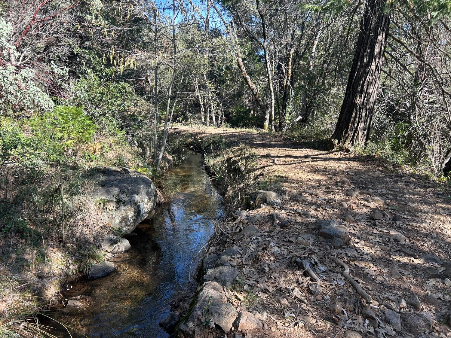 10121 Sun Ridge Court Nevada City, CA 95959 - Photo 14 of 14 a view of outdoor space and yard