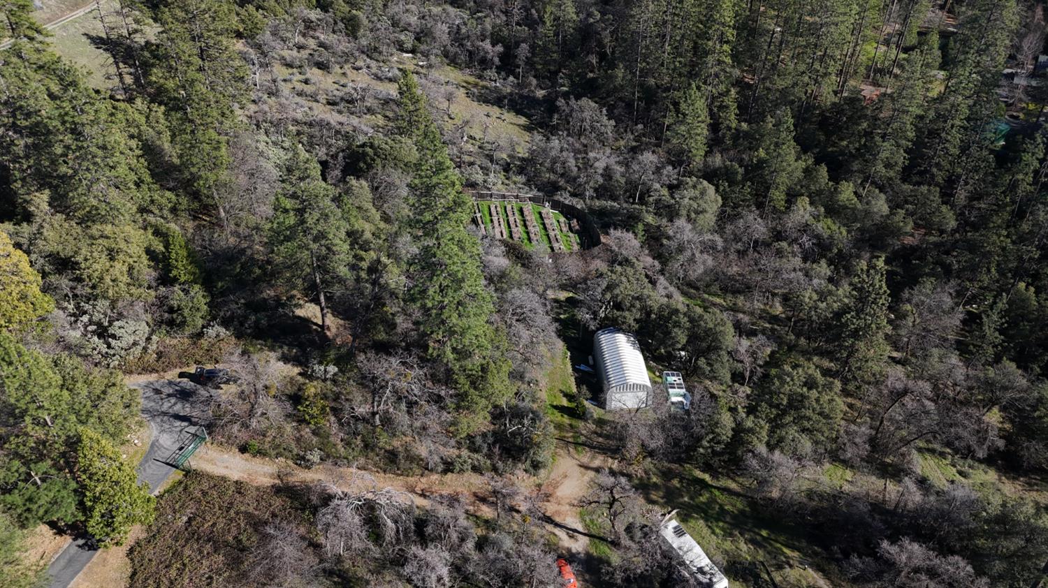 10121 Sun Ridge Court Nevada City, CA 95959 - Photo 6 of 14 a view of a forest with a tree