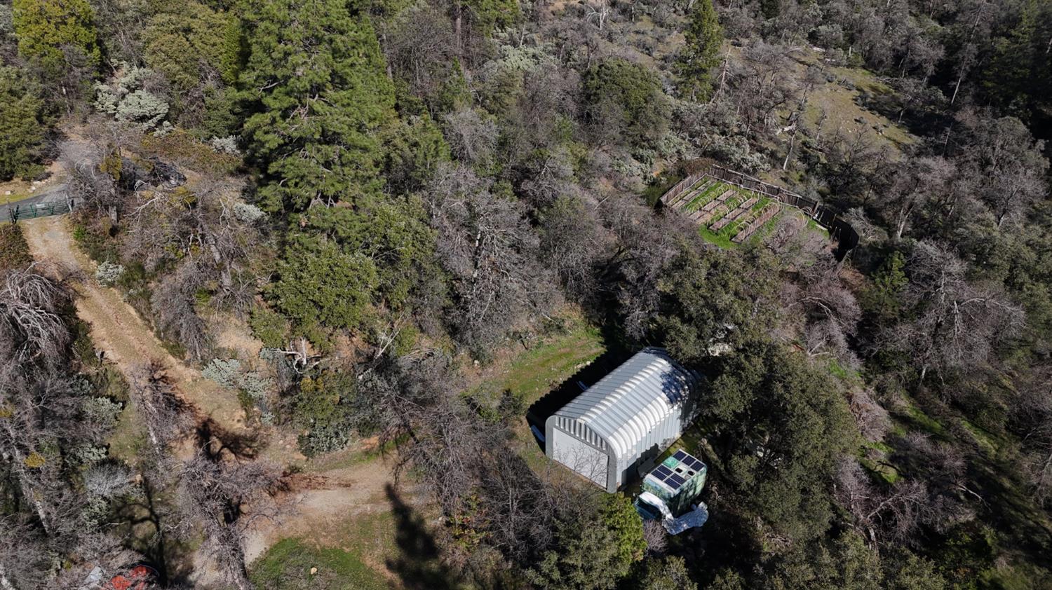 10121 Sun Ridge Court Nevada City, CA 95959 - Photo 7 of 14 a picture of tree