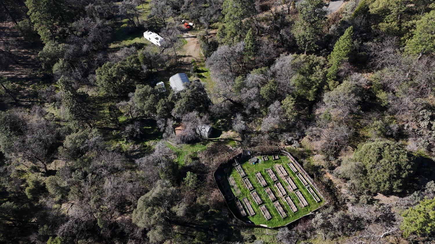 10121 Sun Ridge Court Nevada City, CA 95959 - Photo 8 of 14 view of a yard