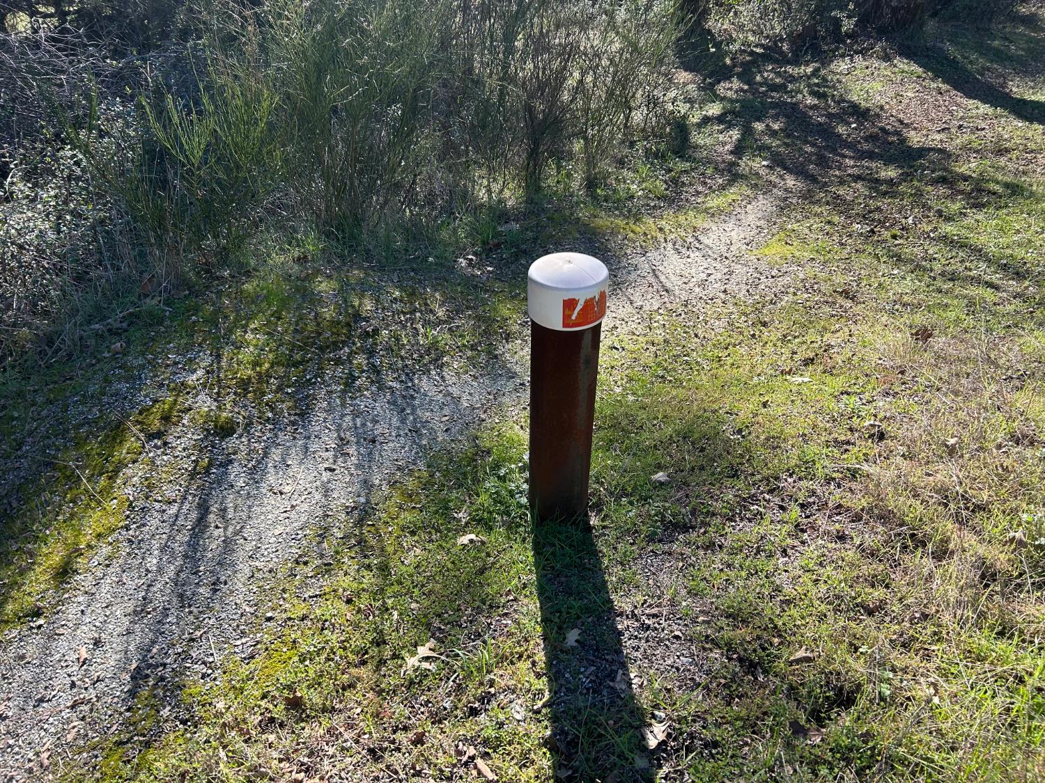 10121 Sun Ridge Court Nevada City, CA 95959 - Photo 10 of 14 a close up of a tree in a yard