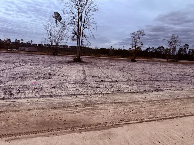$22,500 | Lot 14 Wiregrass Lane, Unit 14, Waycross, GA 31503