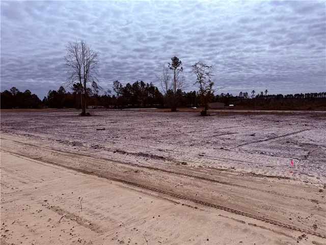 $22,500 | Lot 14 Wiregrass Lane, Unit 14, Waycross, GA 31503