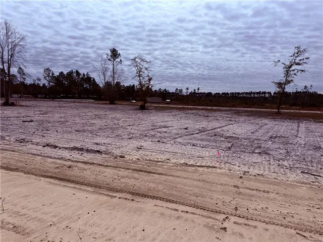$22,500 | Lot 14 Wiregrass Lane, Unit 14, Waycross, GA 31503