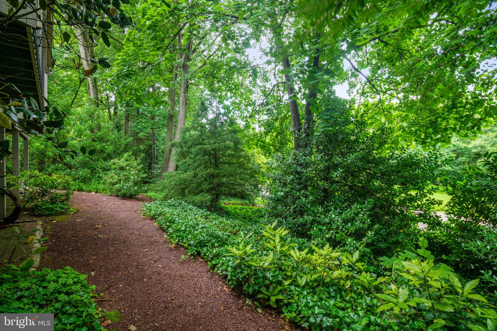 111 The Mews Haddonfield, NJ 08033 - Photo 29 of 29 Rear yard walkway
