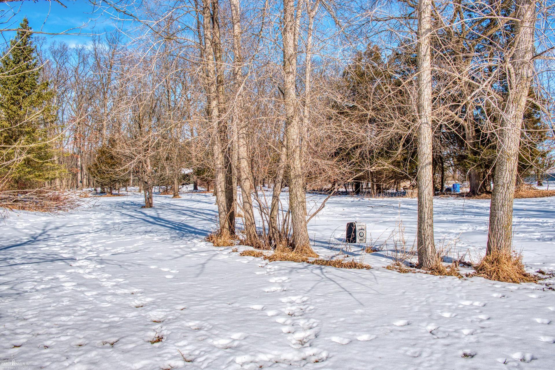 9508 Beardslee Road Perry, MI 48872 - Photo 45 of 54