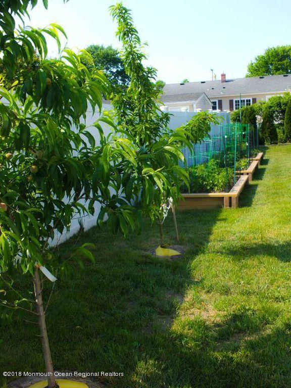 113 Green Tree Road Brick, NJ 08724 - Photo 20 of 23 IS66800luououu0000000000