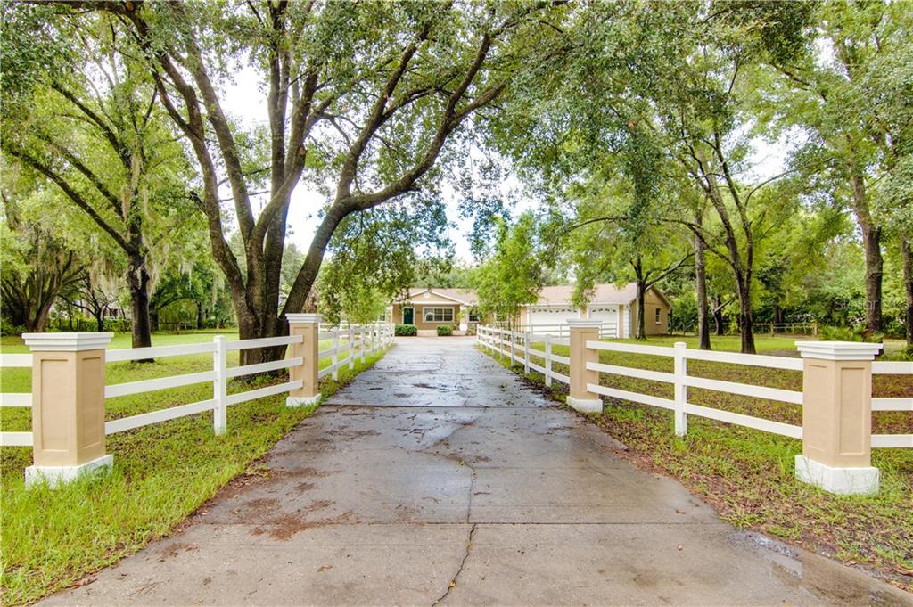 5331 Lake Le Clare Road Lutz, FL 33558 - Photo 1 of 1 Gallery Image 1