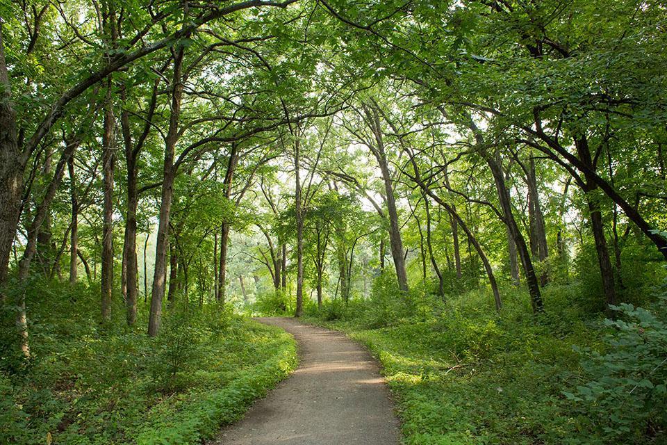 11216 Minnetonka Boulevard Minnetonka, MN 55305 - Photo 49 of 52
