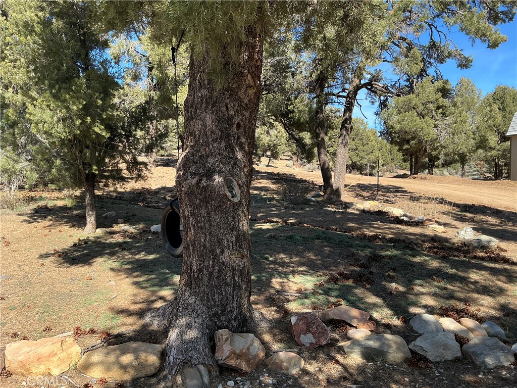 1960 Baldwin Lake Road Big Bear City, CA 92314 - Photo 6 of 17