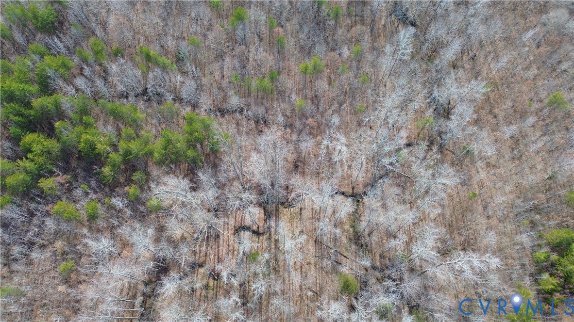 0 West Store Road Nathalie, VA 24577 - Photo 14 of 20 Gallery Image 14