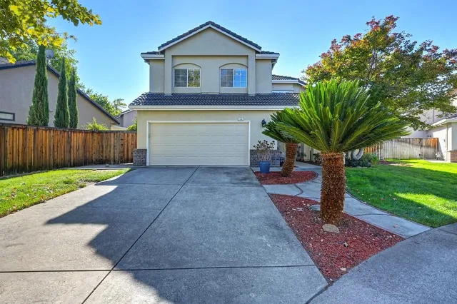 a view of a house with a yard plants and large tree