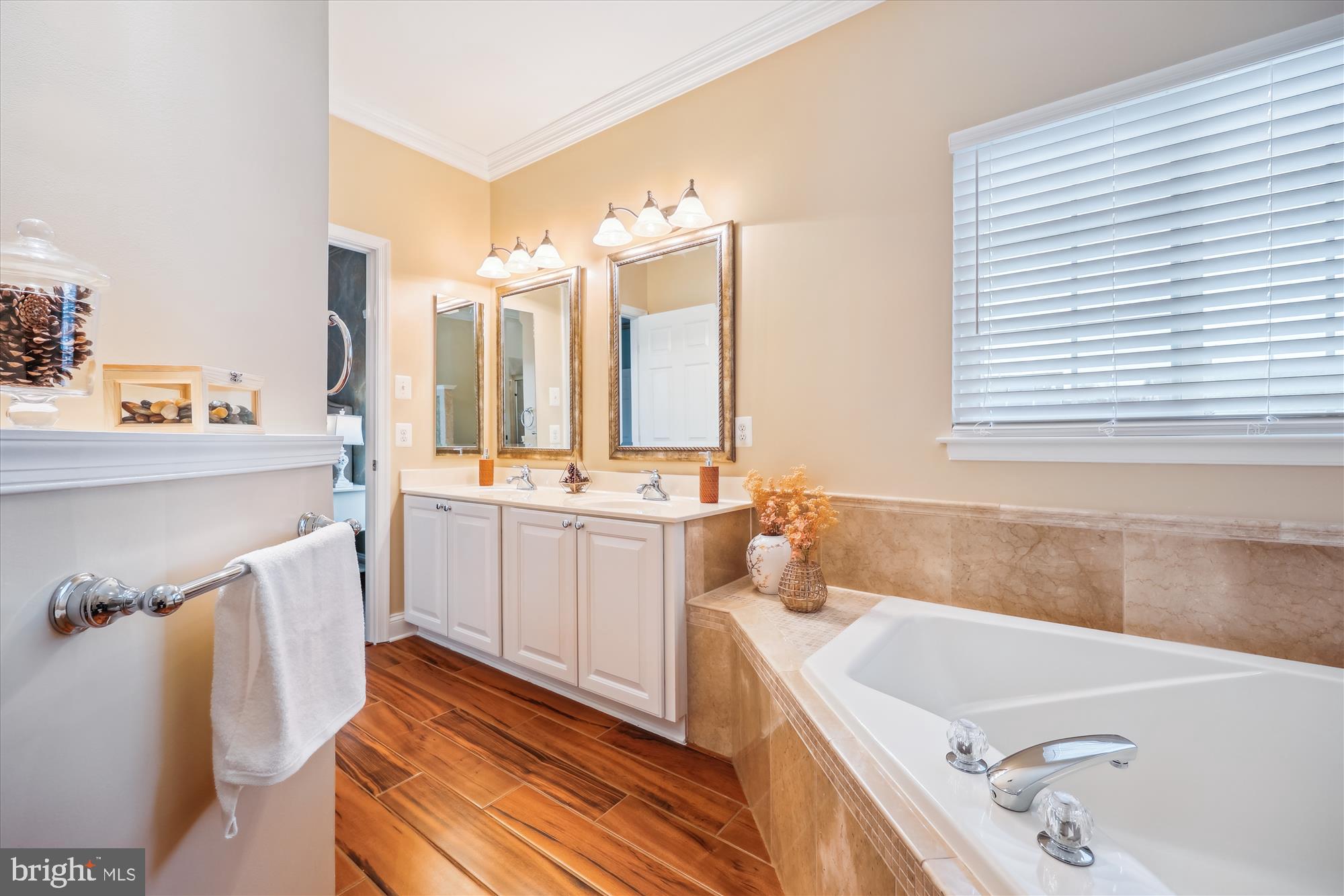 18301 Beechnut Way Boyds, MD 20841 - Photo 31 of 72 a bathroom with a tub sink and mirror