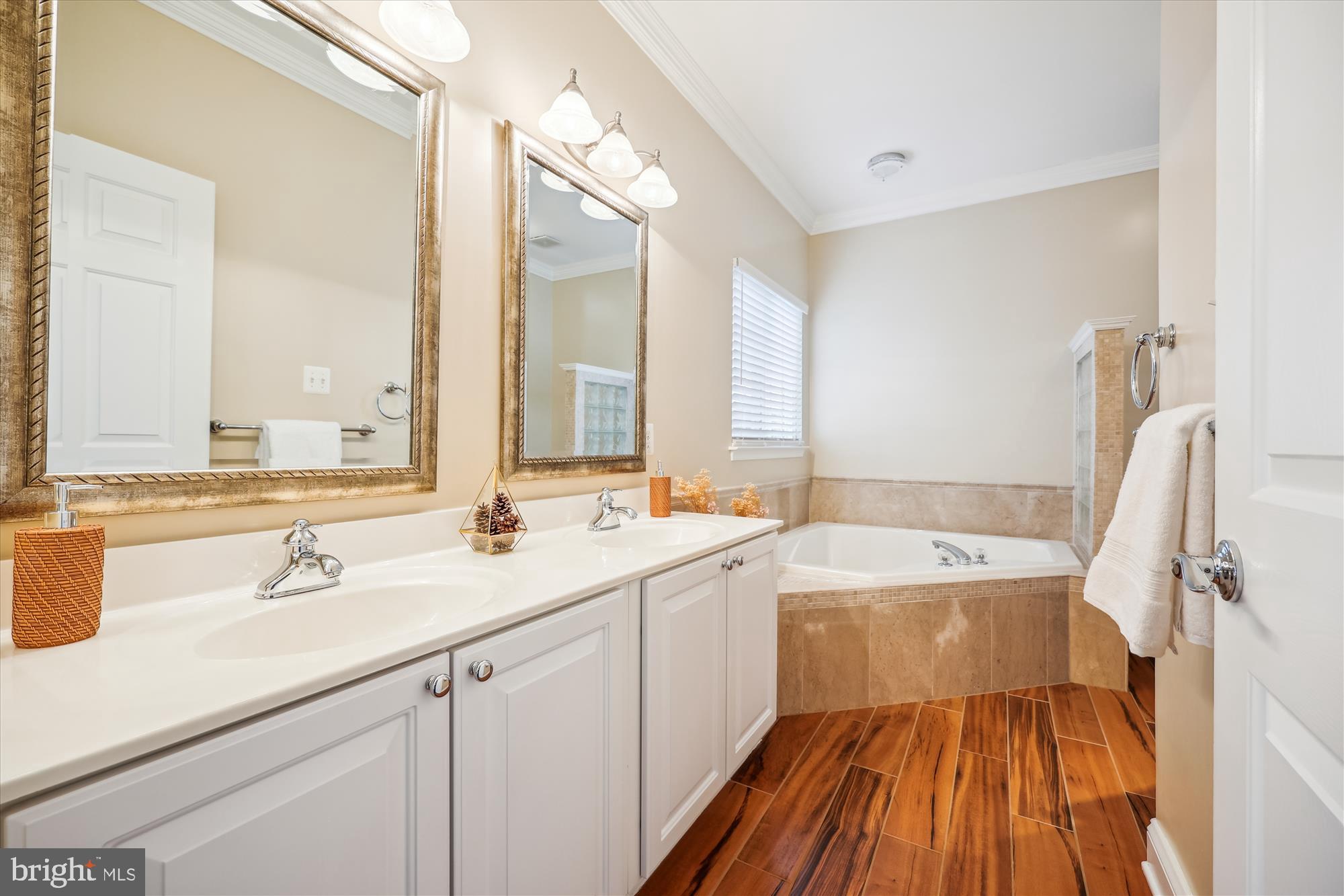 18301 Beechnut Way Boyds, MD 20841 - Photo 32 of 72 a bathroom with a sink a mirror and a bathtub