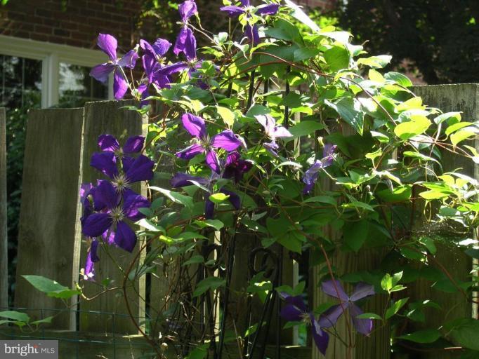 260 Stanmore Road Baltimore, MD 21212 - Photo 14 of 17 Other #1