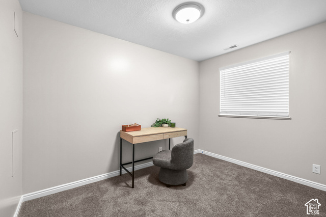 1045 West 3600th South Perry, UT 84302 - Photo 38 of 57 Textured carpeting with a neutral wall color, overhead flush mount lighting, and a single window with blinds
