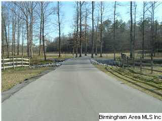 Meadow Lake, Unit 2A Calera, AL 35040 - Photo 1 of 9