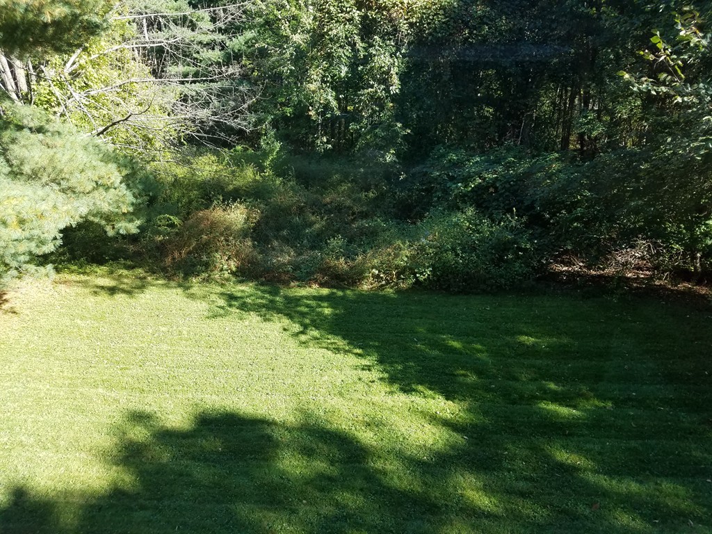 48 Bean Road Sterling, MA 01564 - Photo 6 of 20 Gallery Image 6