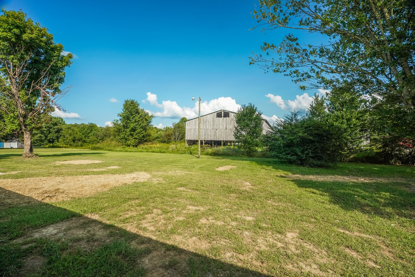 150 Absher Road Portland, TN 37148 - Photo 29 of 37 a view of a field with grass and trees