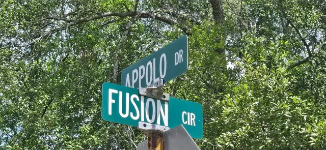 a view of a park with large trees