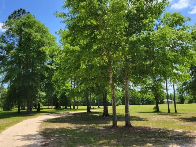 a view of a golf course