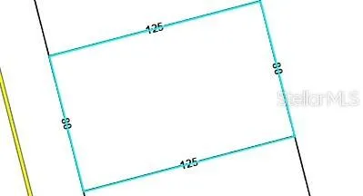 walk in closet with rug