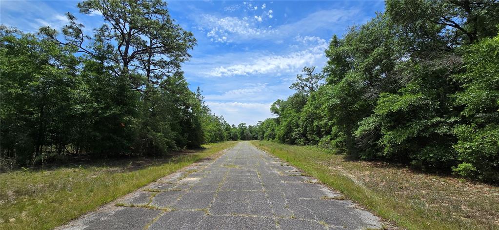18 Fusion Circle Chipley, FL 32428 - Photo 7 of 17 a view of a pathway both side of yard