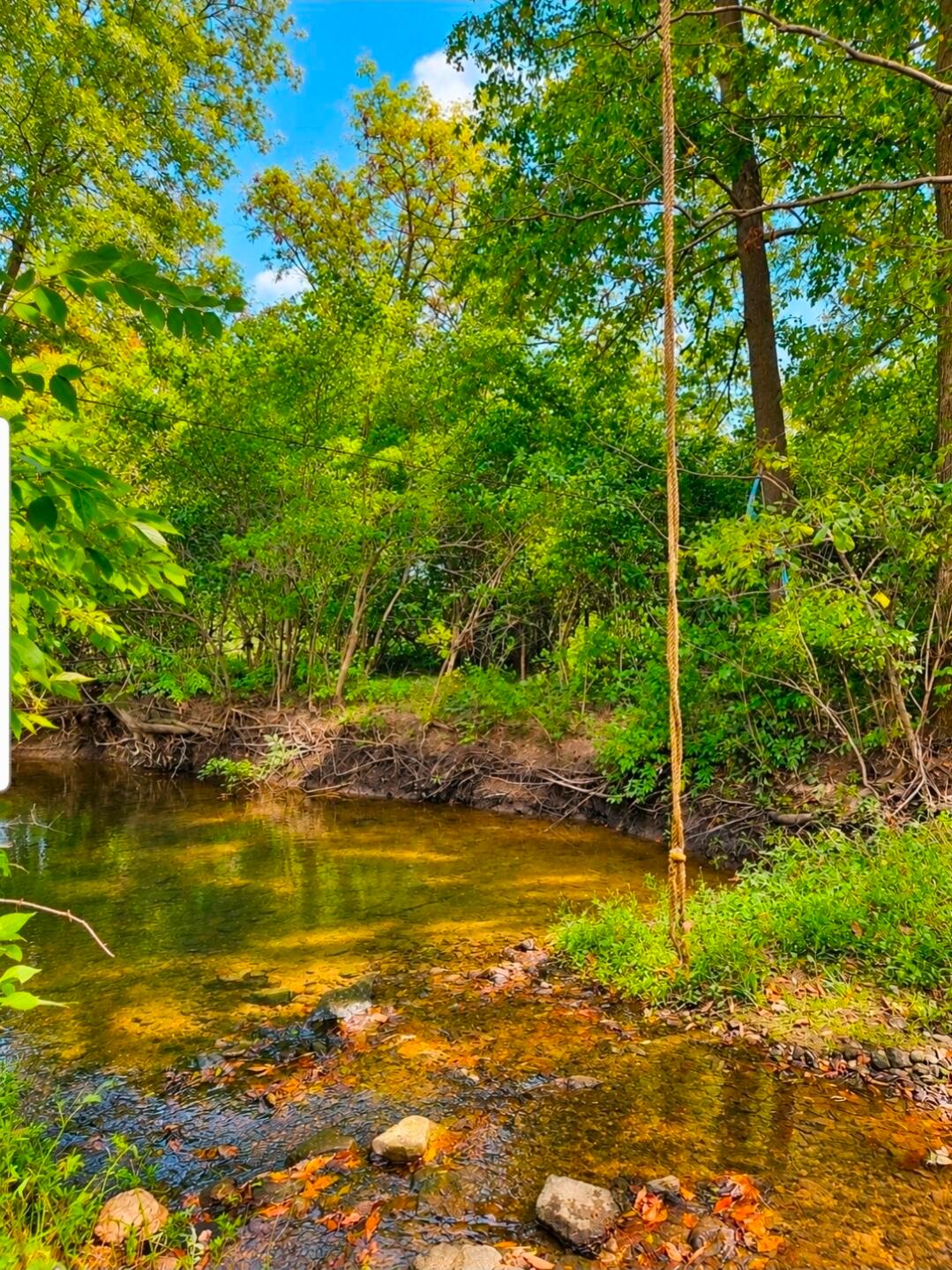 15578 Smart-Cole Road Ostrander, OH 43061 - Photo 64 of 76 1000055766