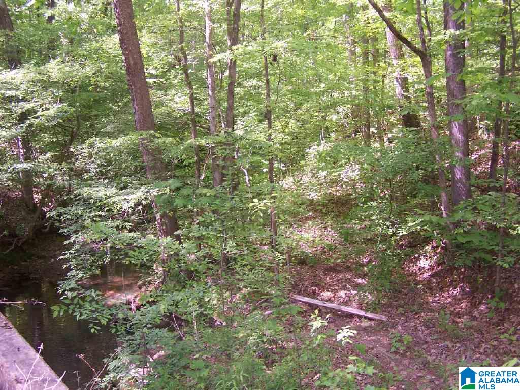 8751 Clayton Cove Road Springville, AL 35146 - Photo 35 of 44