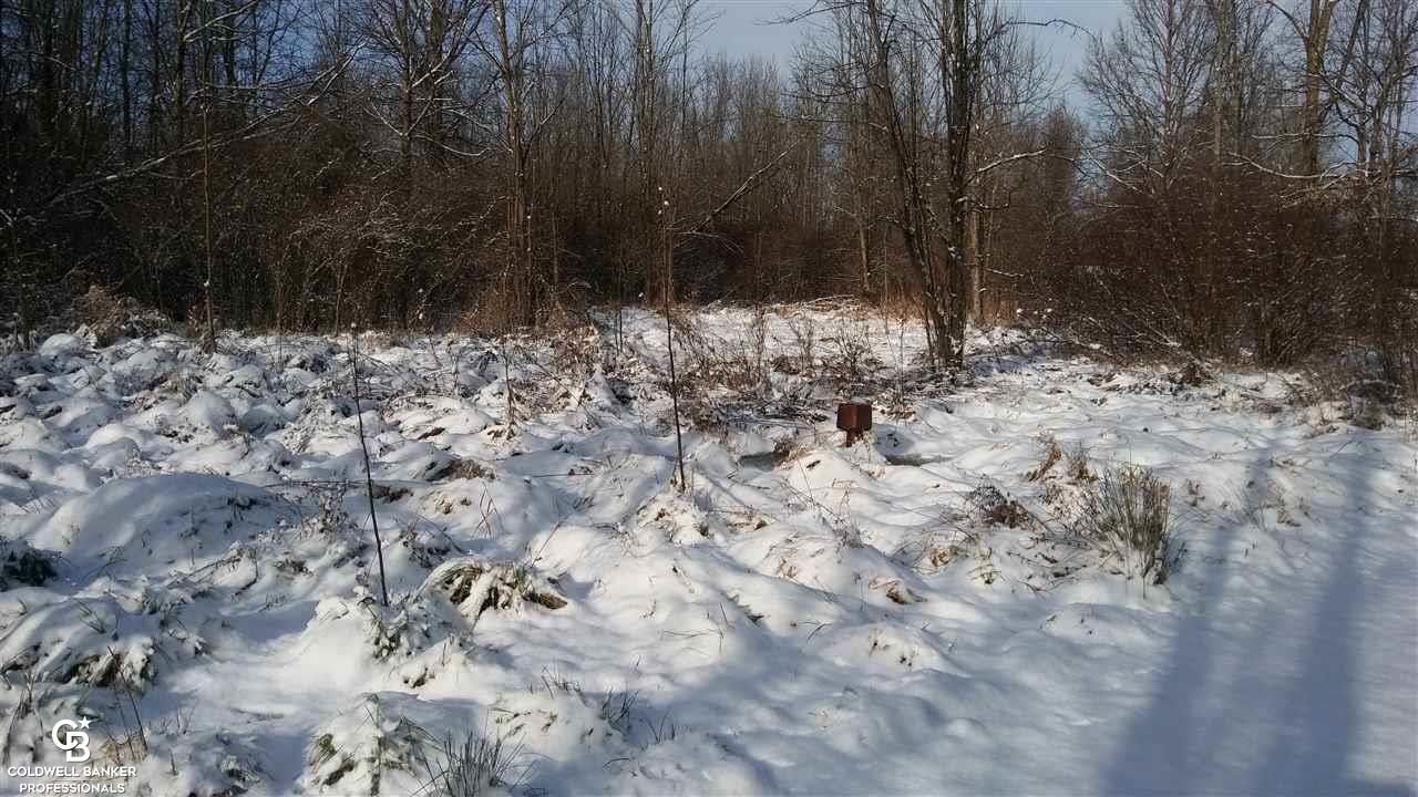 8841 Yale Road Avoca, MI 48006 - Photo 16 of 17 This is another view of the property.