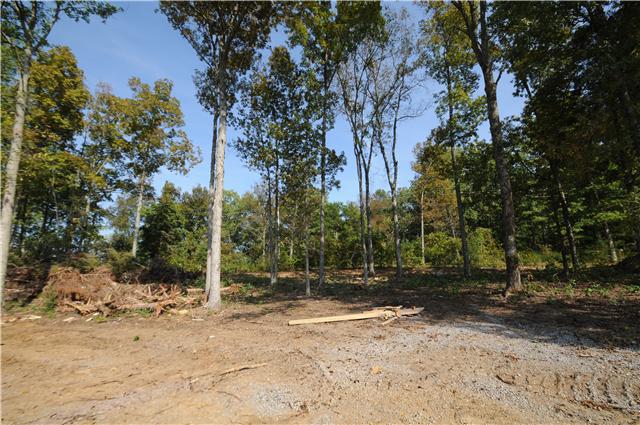 123 Legends Ridge Drive, Unit 12 Lebanon, TN 37090 - Photo 13 of 13 Awesome back yard