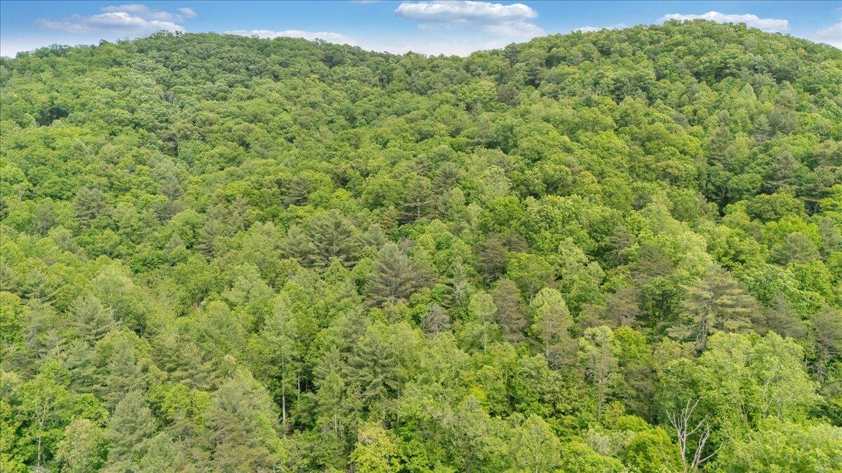 3994 Yates Road Shawsville, VA 24162 - Photo 15 of 40 37-DJI_20260516160745_0038_D