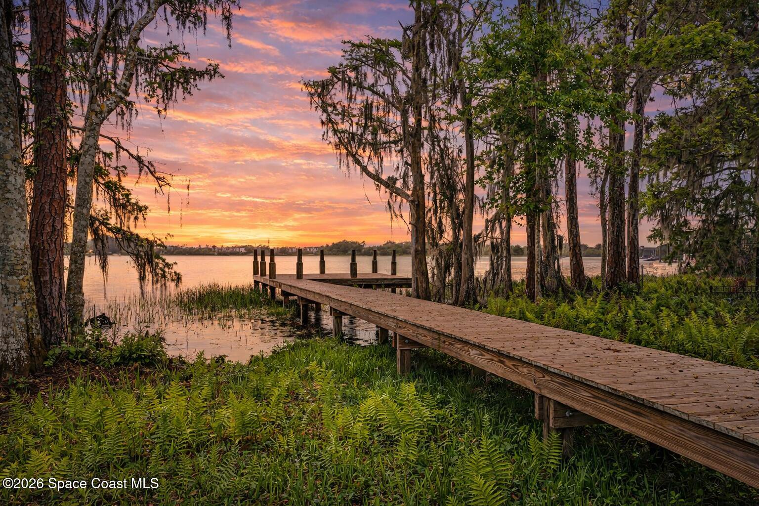 11940 Kirby Smith Road Orlando, FL 32832 - Photo 2 of 39 a view of a backyard with plants and lake view