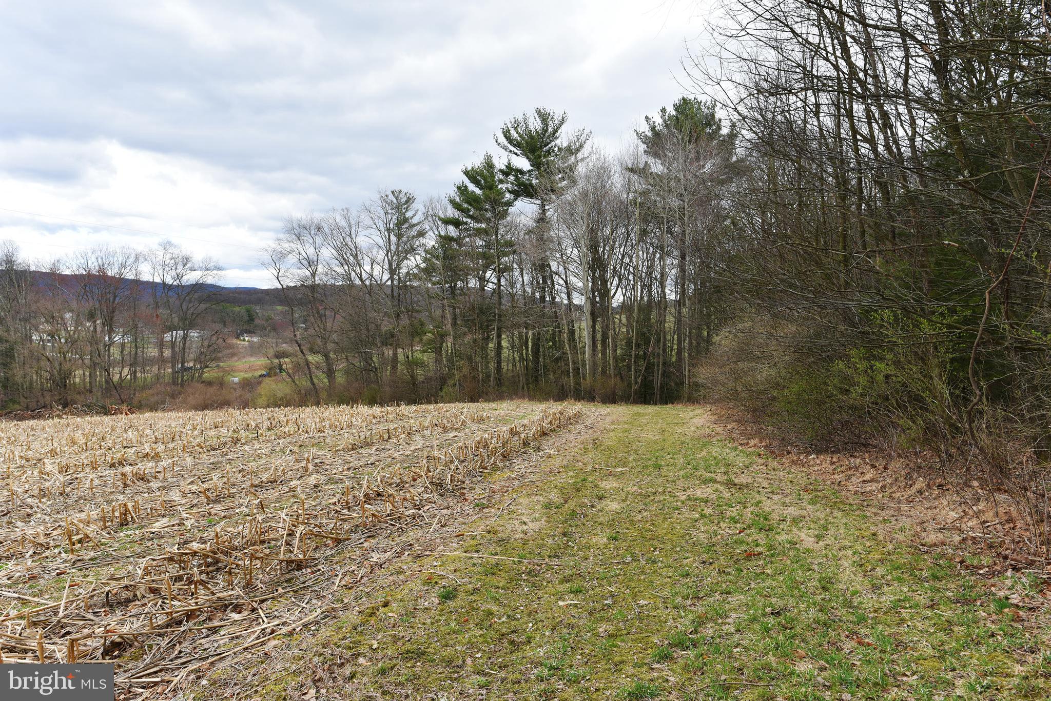 57 Louck Road Pine Grove, PA 17963 - Photo 8 of 14 Gallery Image 8