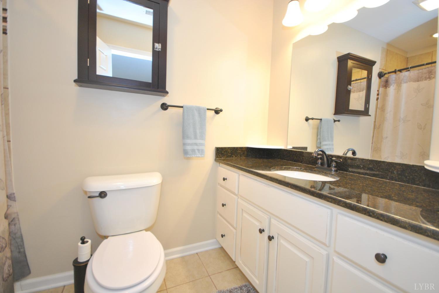 1127 Wiggington Road Lynchburg, VA 24501 - Photo 17 of 34 Gallery Image 17