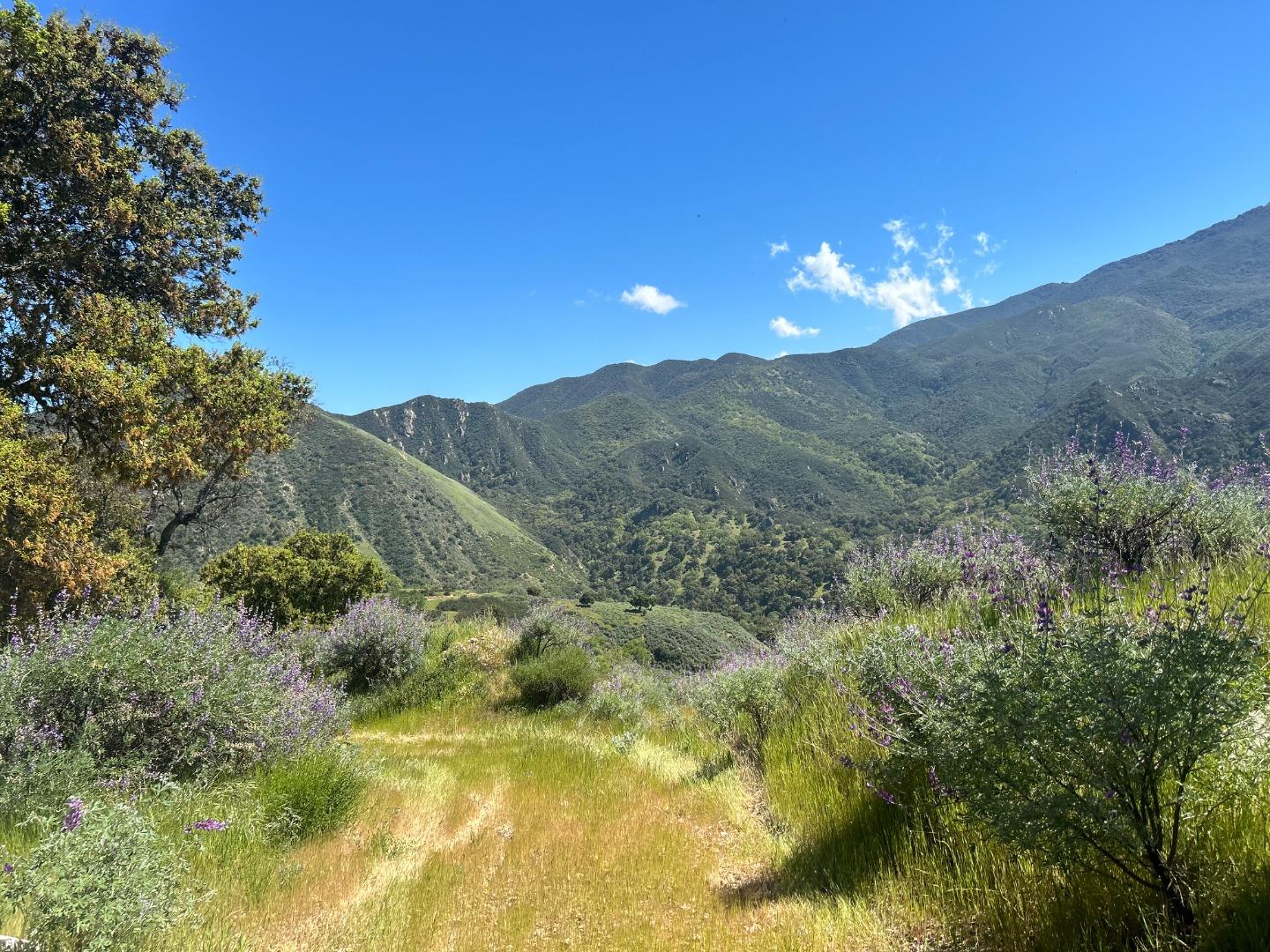 47208 Arroyo Seco Road Greenfield, CA 93927 - Photo 2 of 4 a view of a lake with a mountain