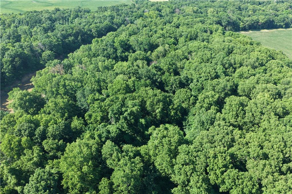 1300 Mead Road Fredonia, KS 66736 - Photo 10 of 14