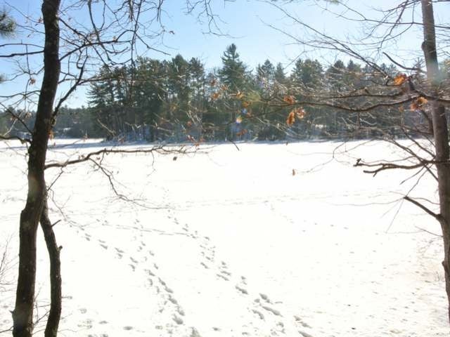 Lot 4 Lower Kaubashine Road Hazelhurst, WI 54531 - Photo 6 of 12 Gallery Image 6