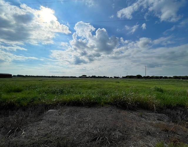 10932 Mlcak Road Sealy, TX 77474 - Photo 2 of 11