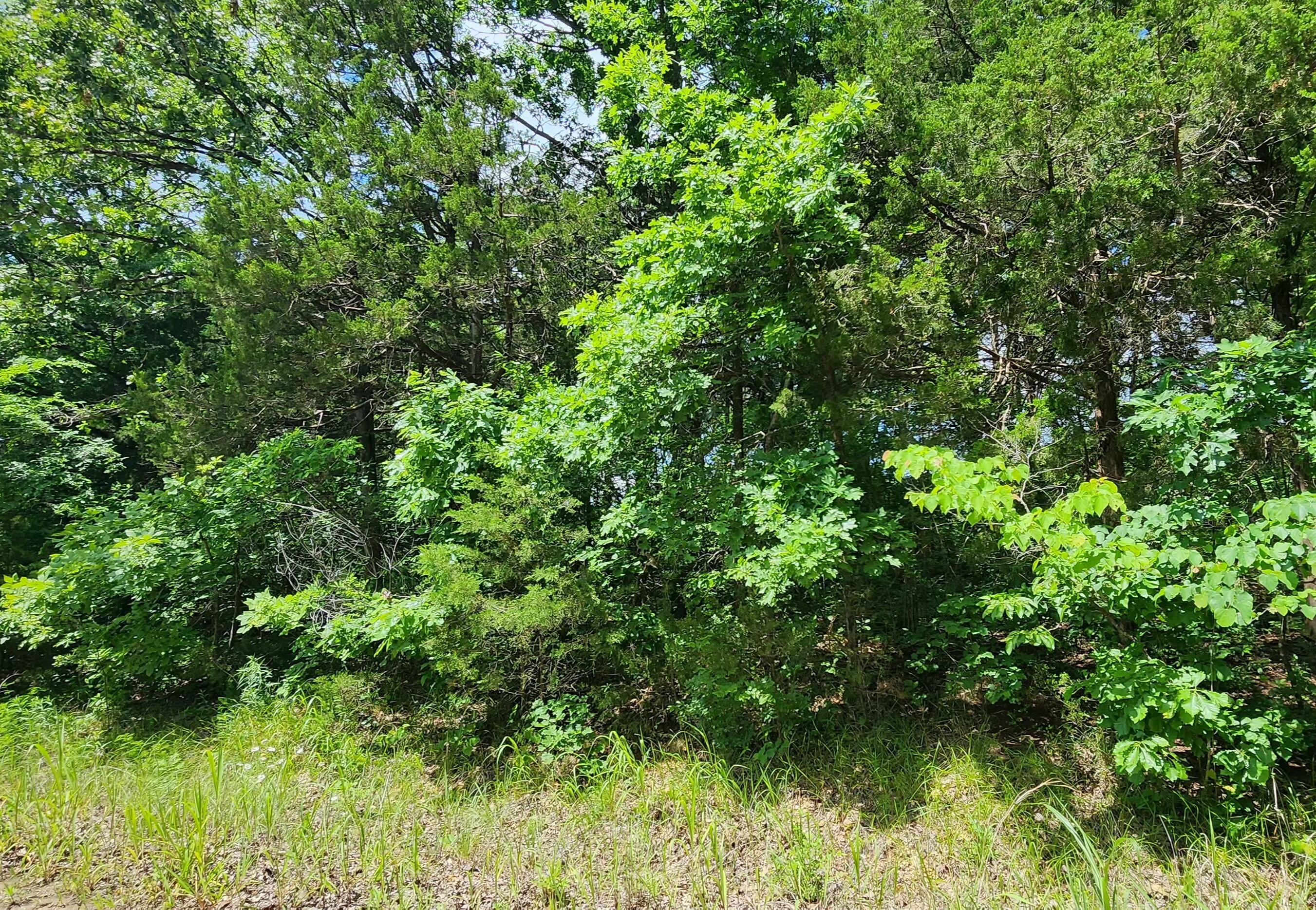 Lot 3-5 Stone Road Rockaway Beach, MO 65740 - Photo 1 of 1 1000016520