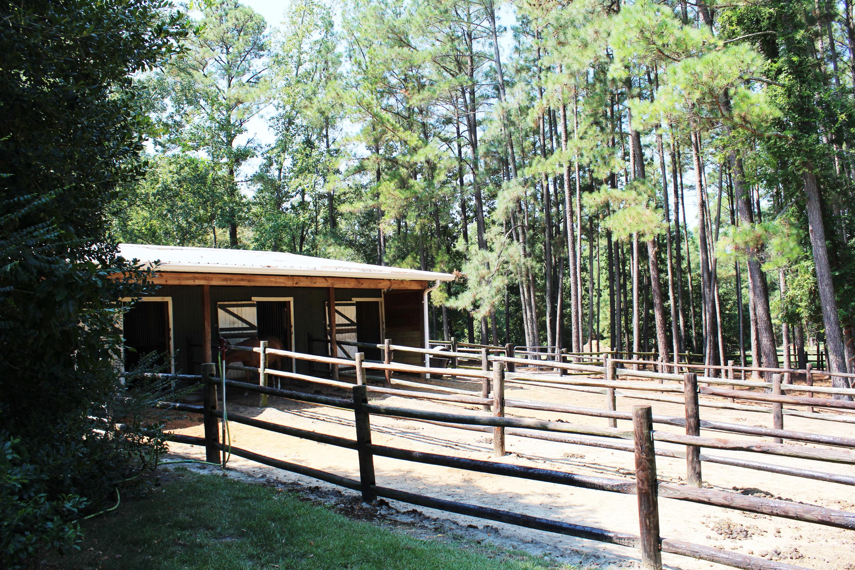 264 Causey Road Vass, NC 28394 - Photo 41 of 48 Medicine Paddocks